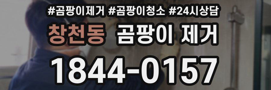 창천동 곰팡이 제거