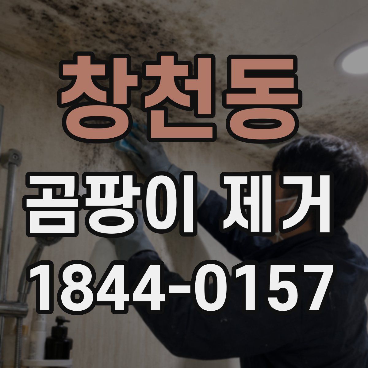 창천동 곰팡이 제거