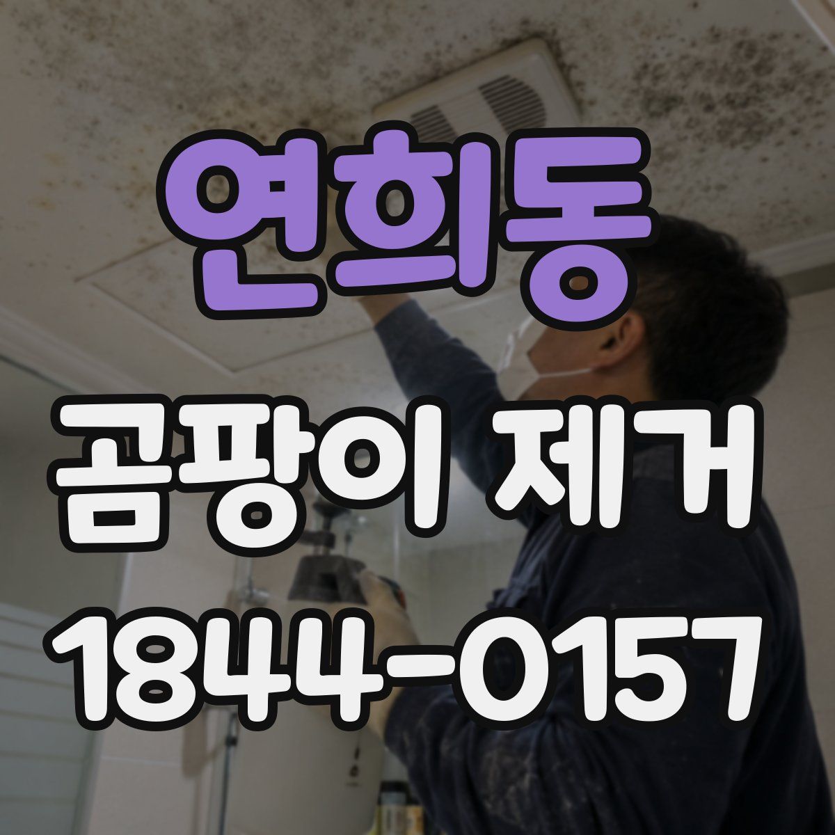연희동 곰팡이 제거