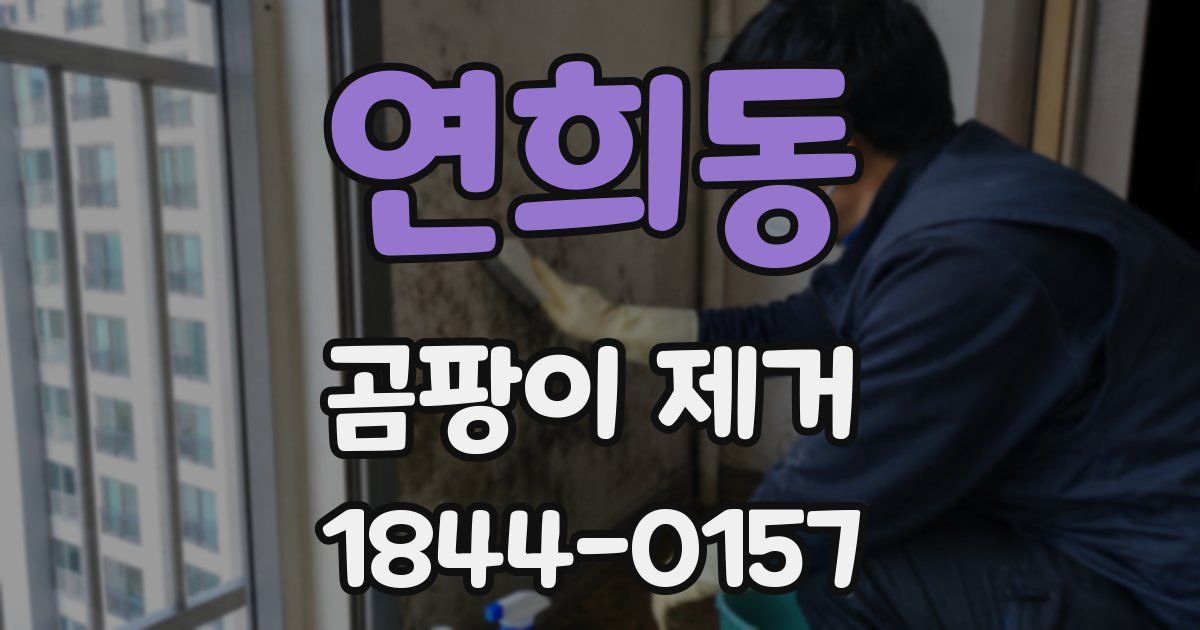 연희동 곰팡이 제거