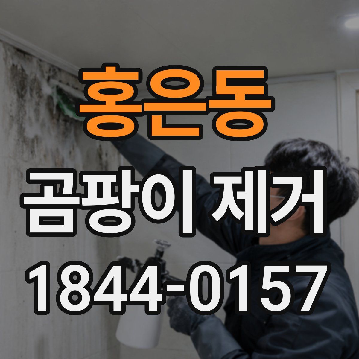 홍은동 곰팡이 제거