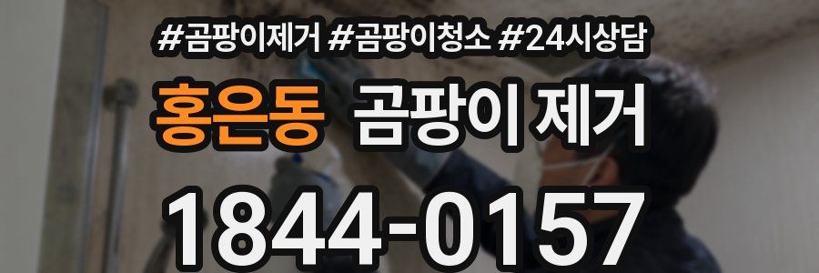 홍은동 곰팡이 제거