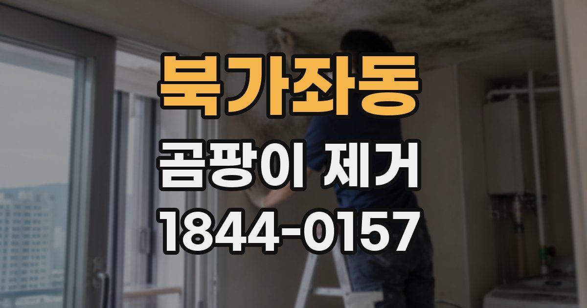 북가좌동 곰팡이 제거
