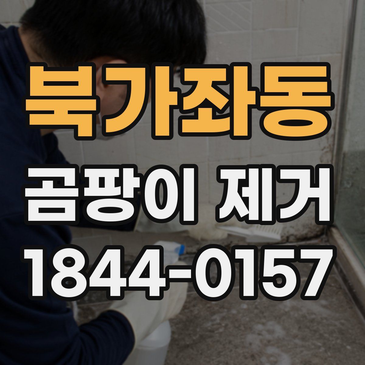 북가좌동 곰팡이 제거