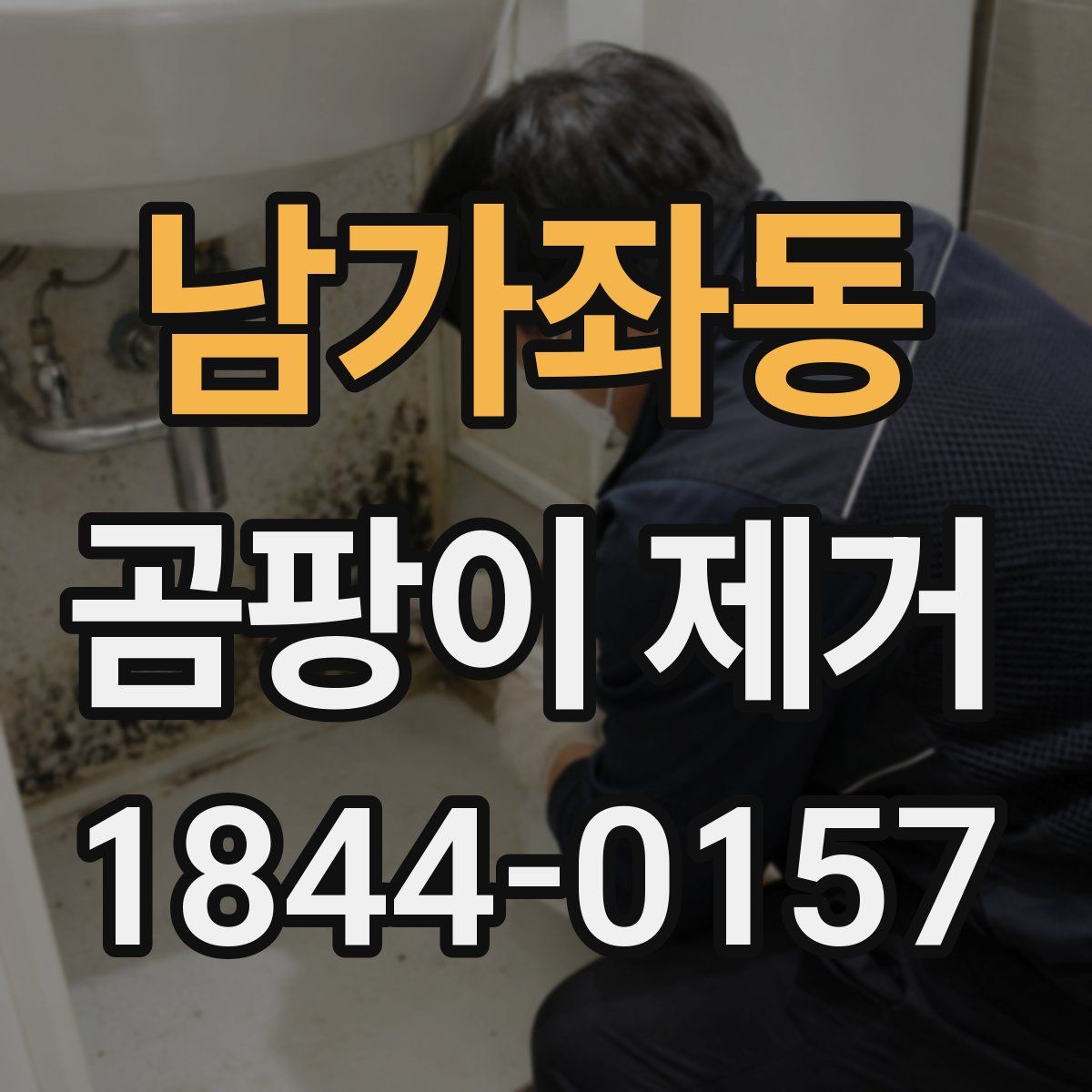 남가좌동 곰팡이 제거