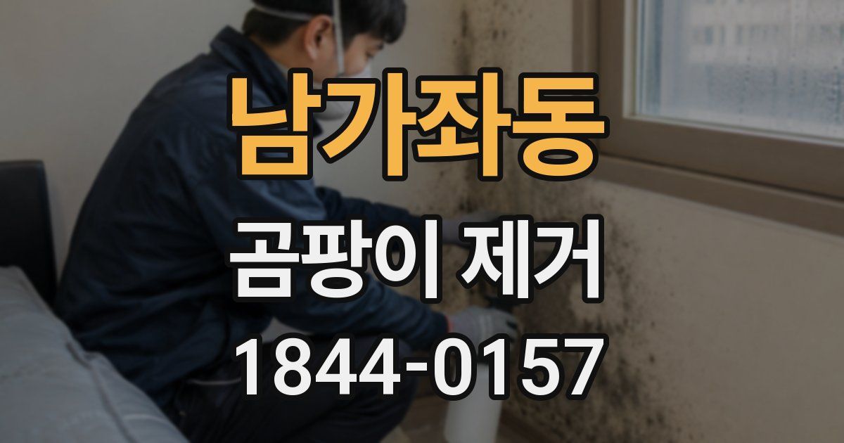 남가좌동 곰팡이 제거