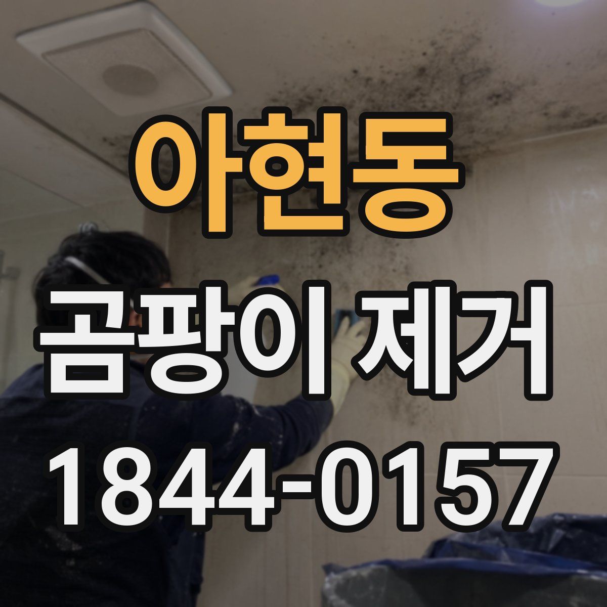 아현동 곰팡이 제거