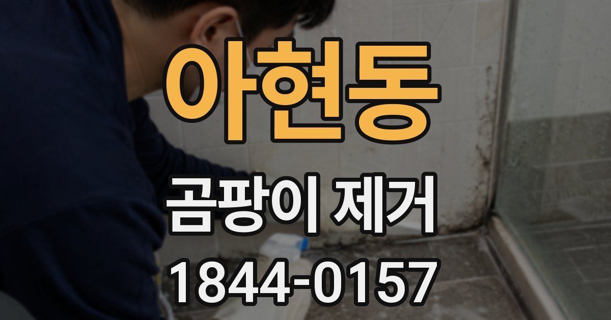 아현동 곰팡이 제거