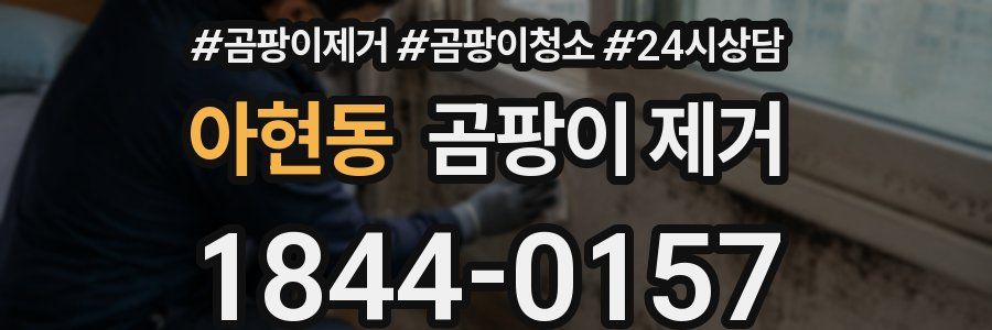 아현동 곰팡이 제거