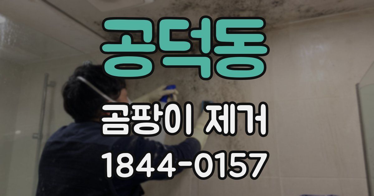공덕동 곰팡이 제거