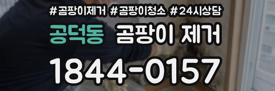 공덕동 곰팡이 제거