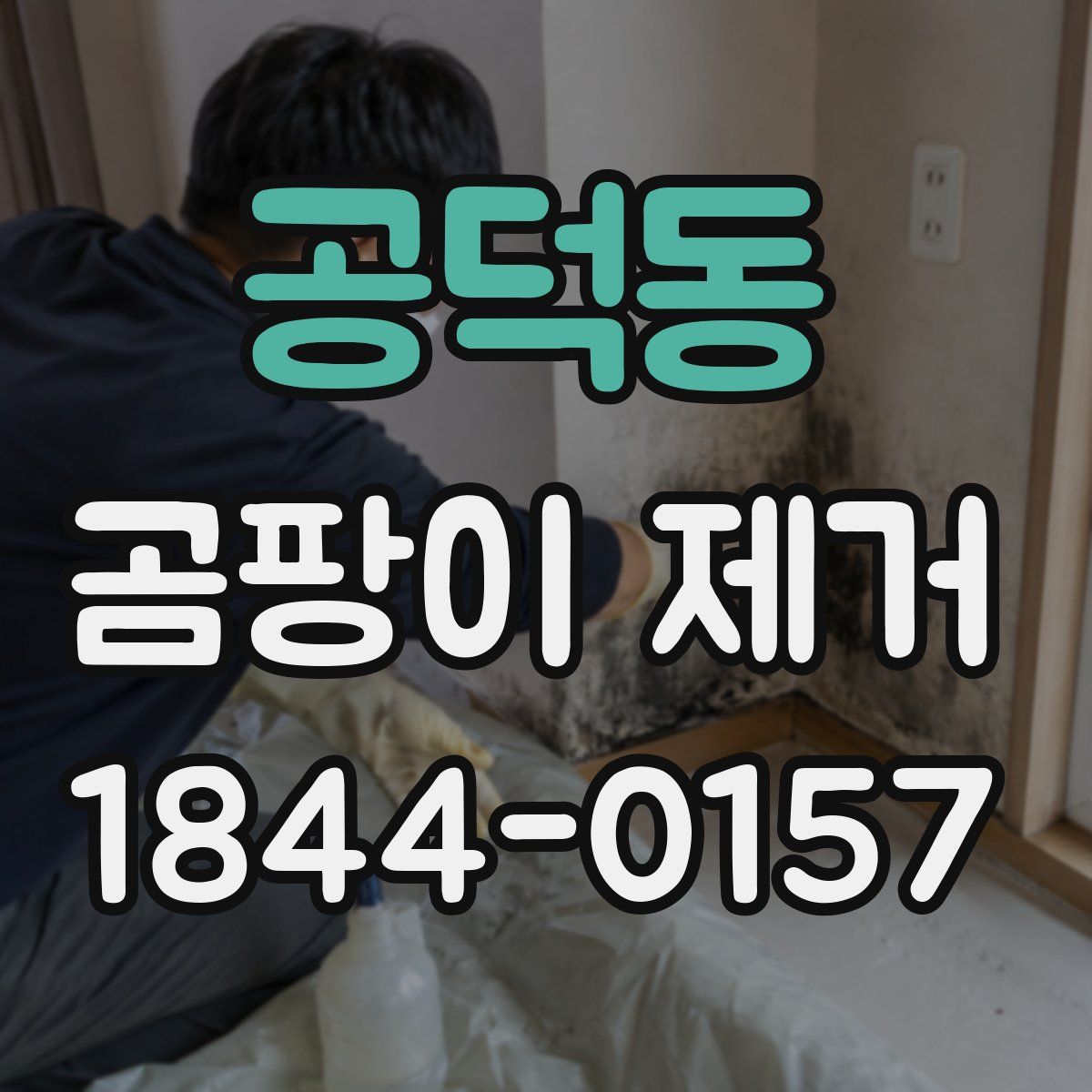공덕동 곰팡이 제거