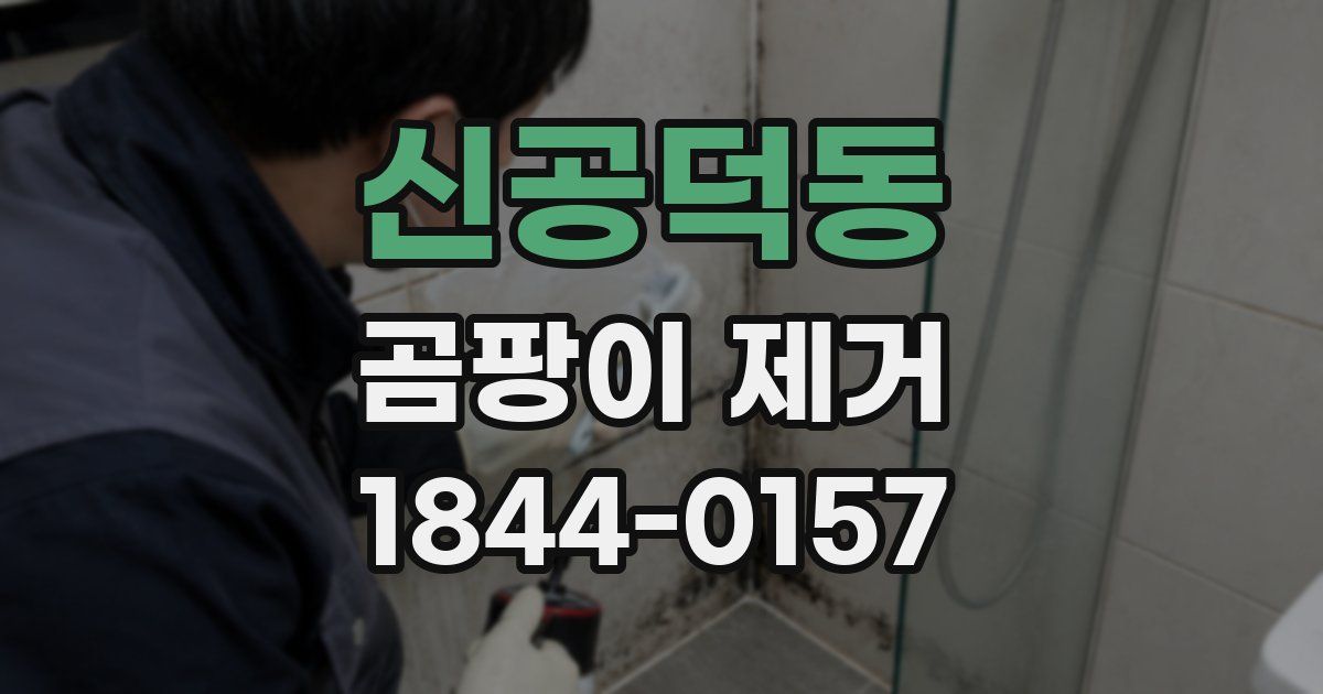 신공덕동 곰팡이 제거