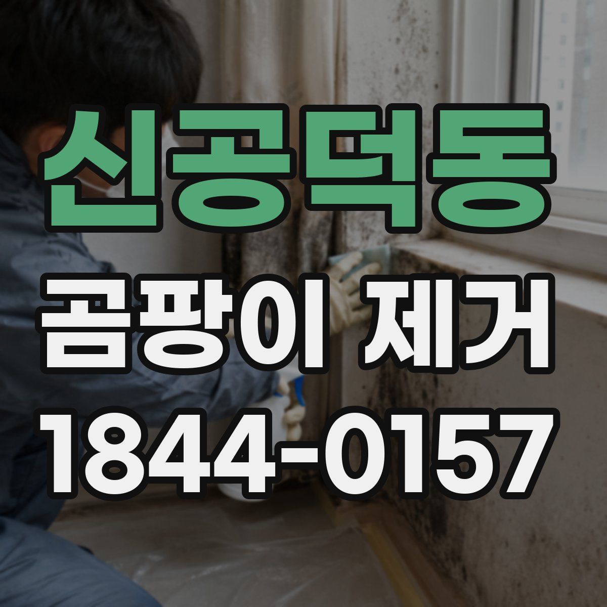 신공덕동 곰팡이 제거