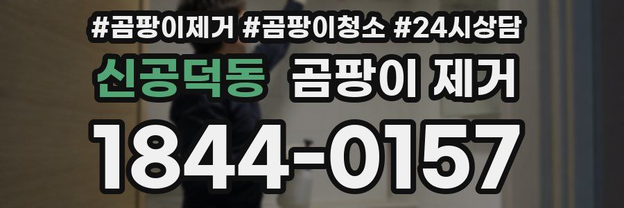 신공덕동 곰팡이 제거