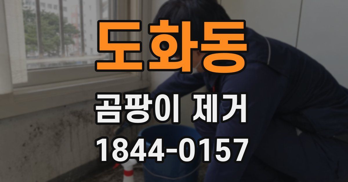 도화동 곰팡이 제거