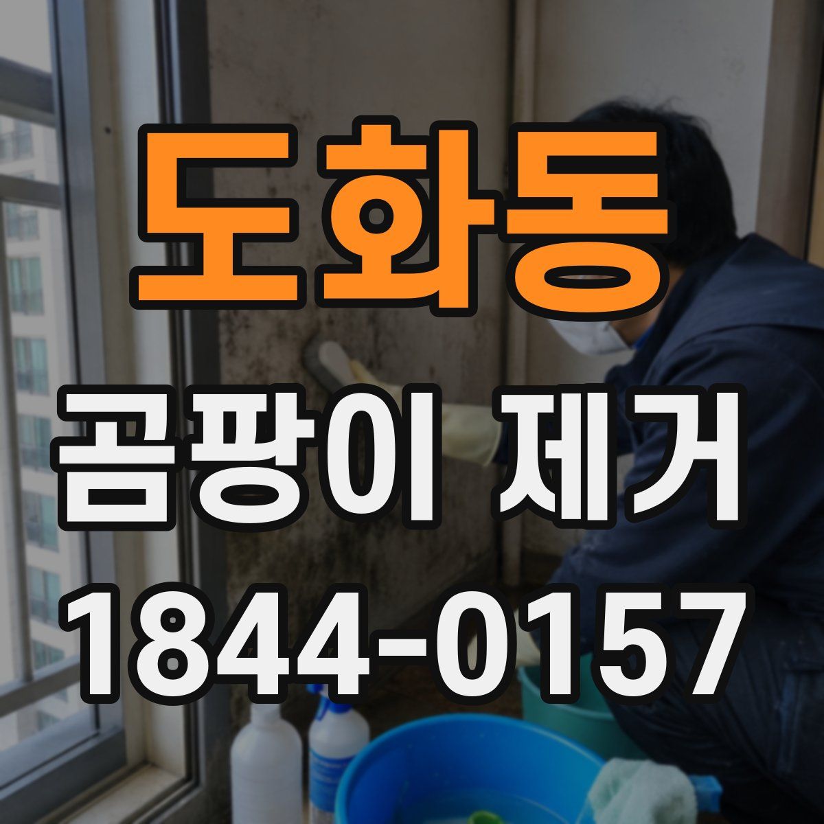 도화동 곰팡이 제거
