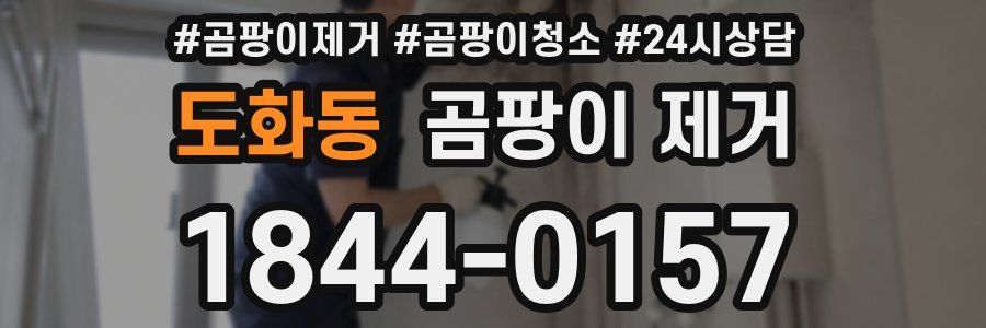 도화동 곰팡이 제거