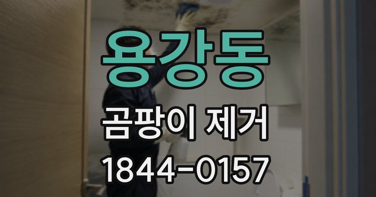 용강동 곰팡이 제거