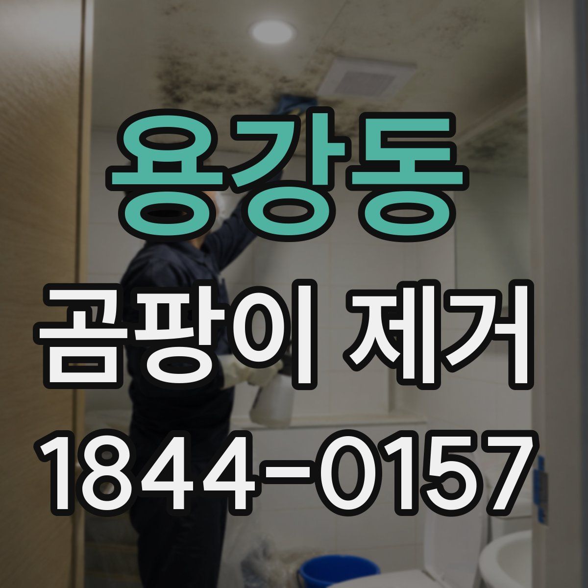 용강동 곰팡이 제거