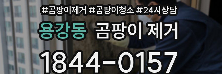 용강동 곰팡이 제거