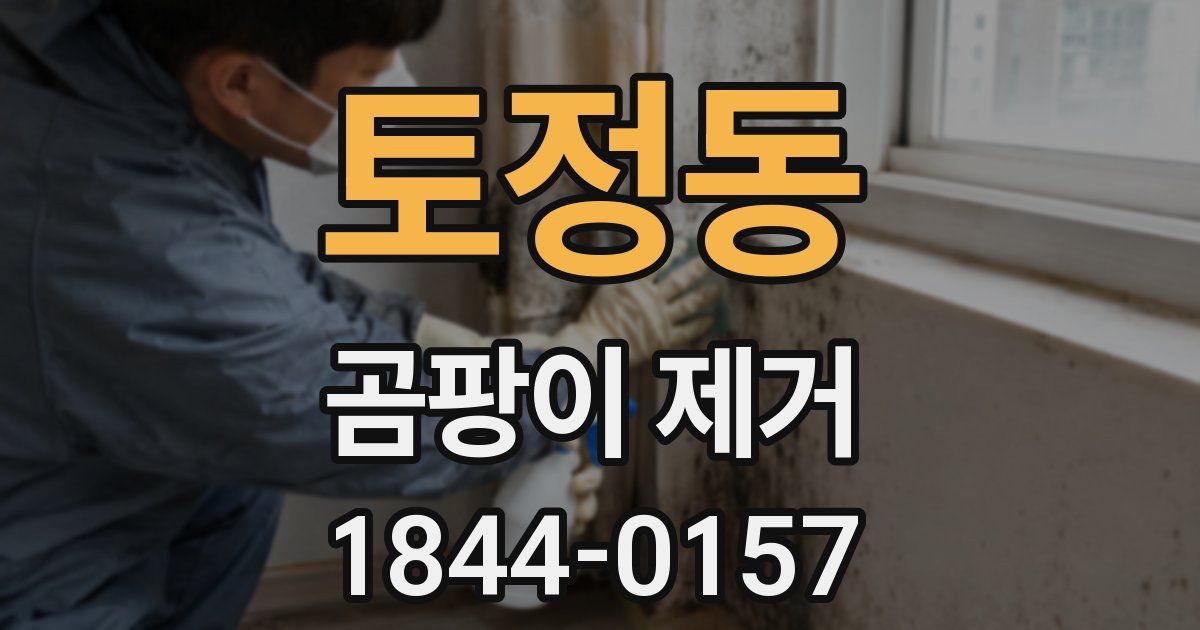 토정동 곰팡이 제거