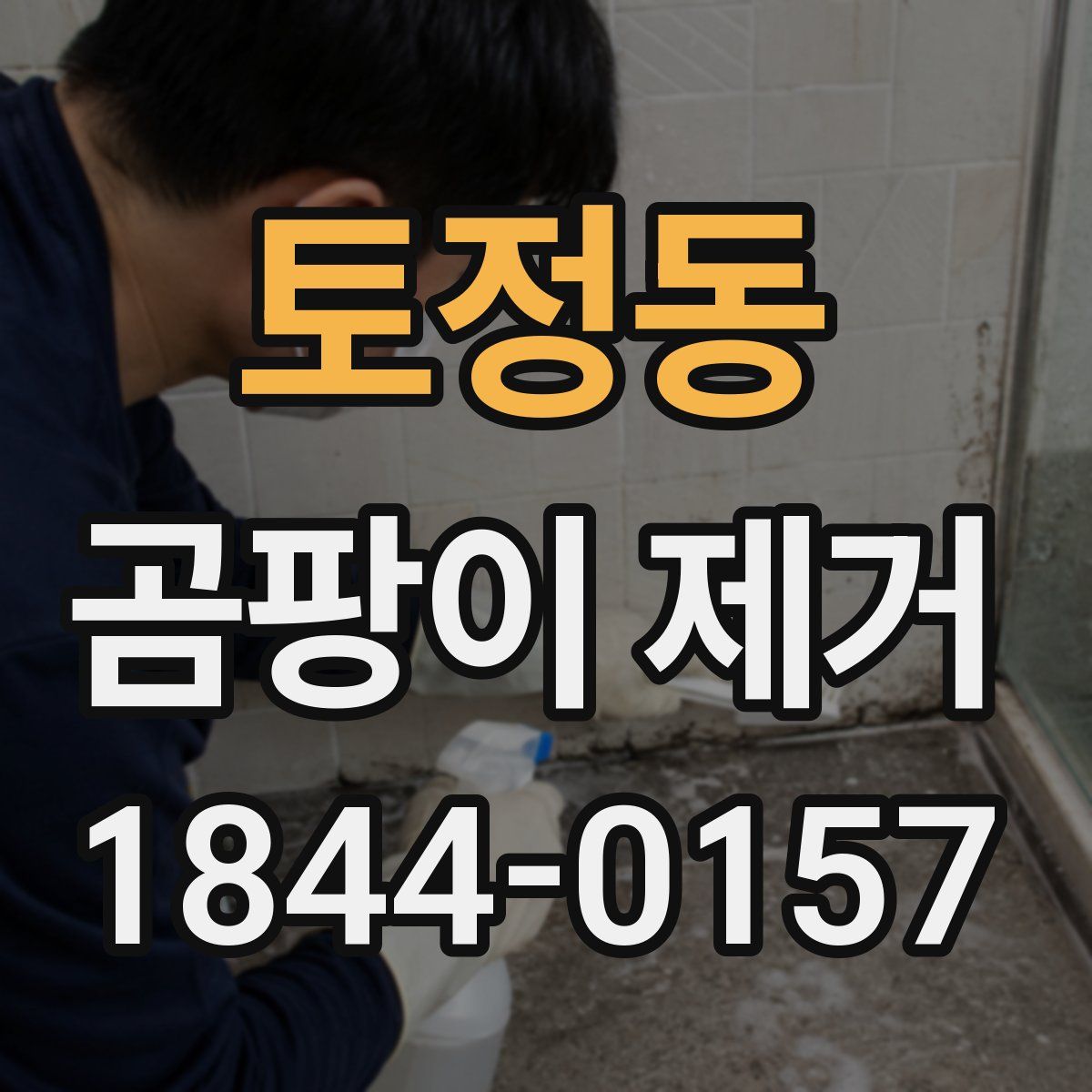 토정동 곰팡이 제거