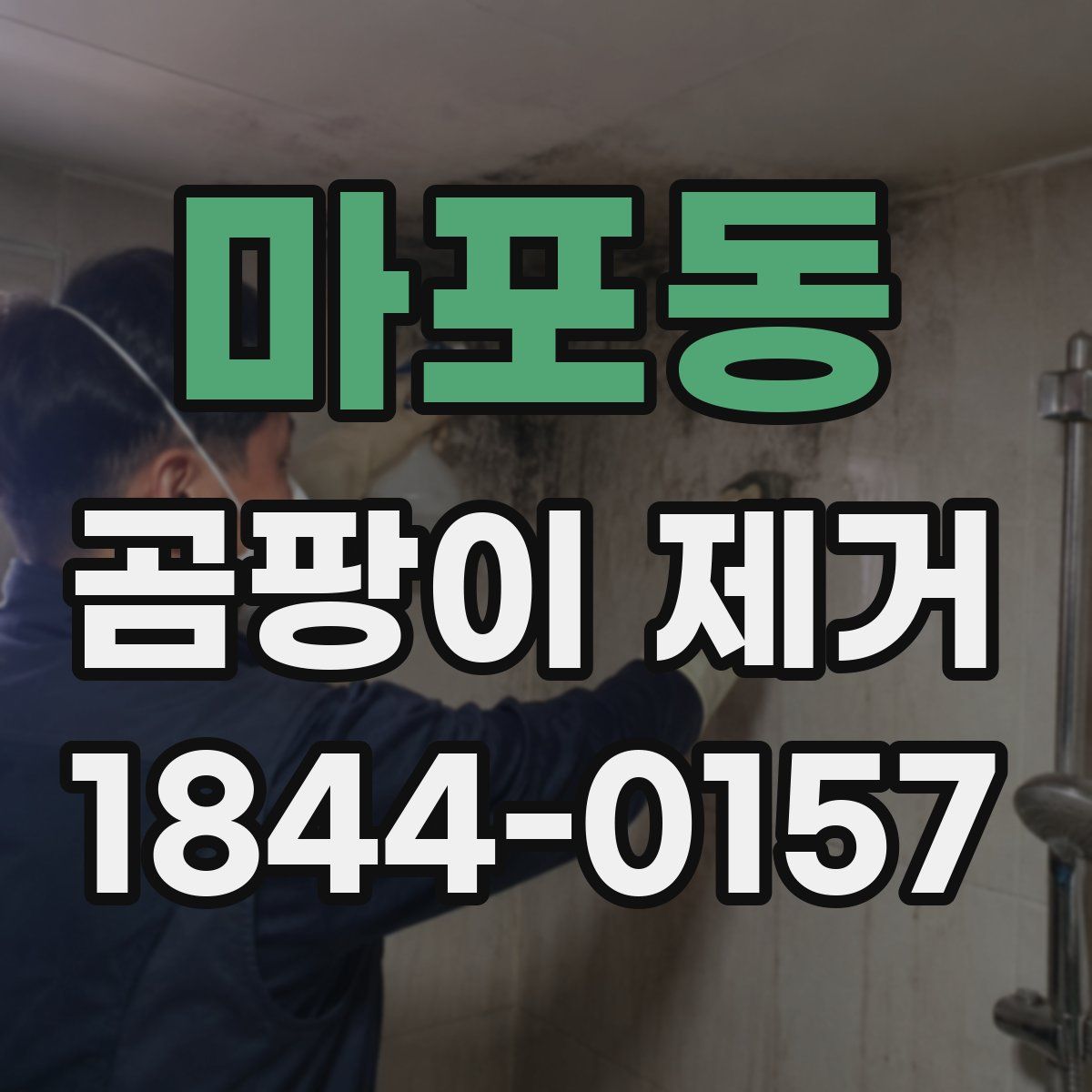 마포동 곰팡이 제거