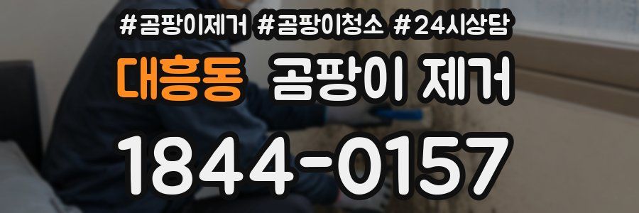 대흥동 곰팡이 제거