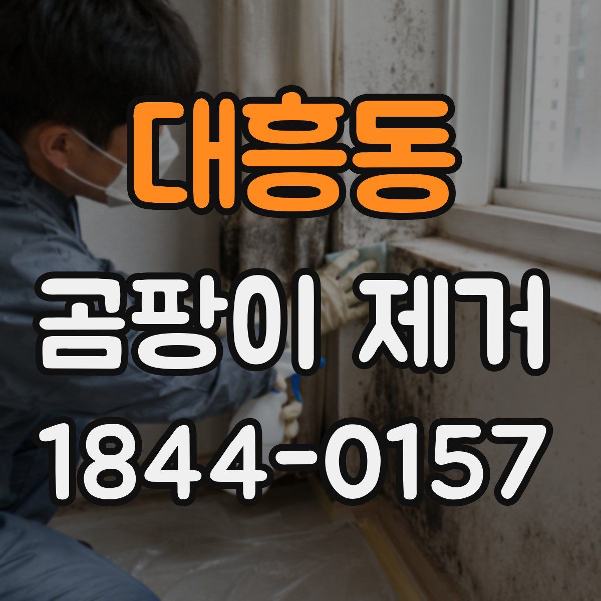 대흥동 곰팡이 제거