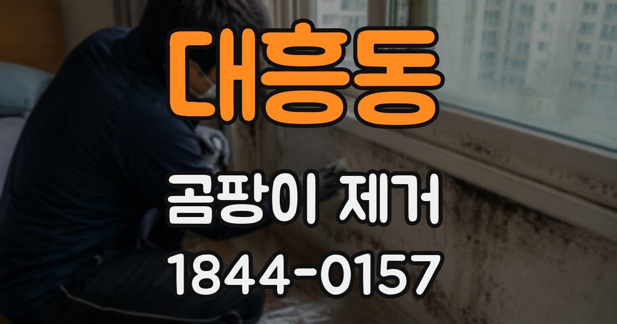 대흥동 곰팡이 제거