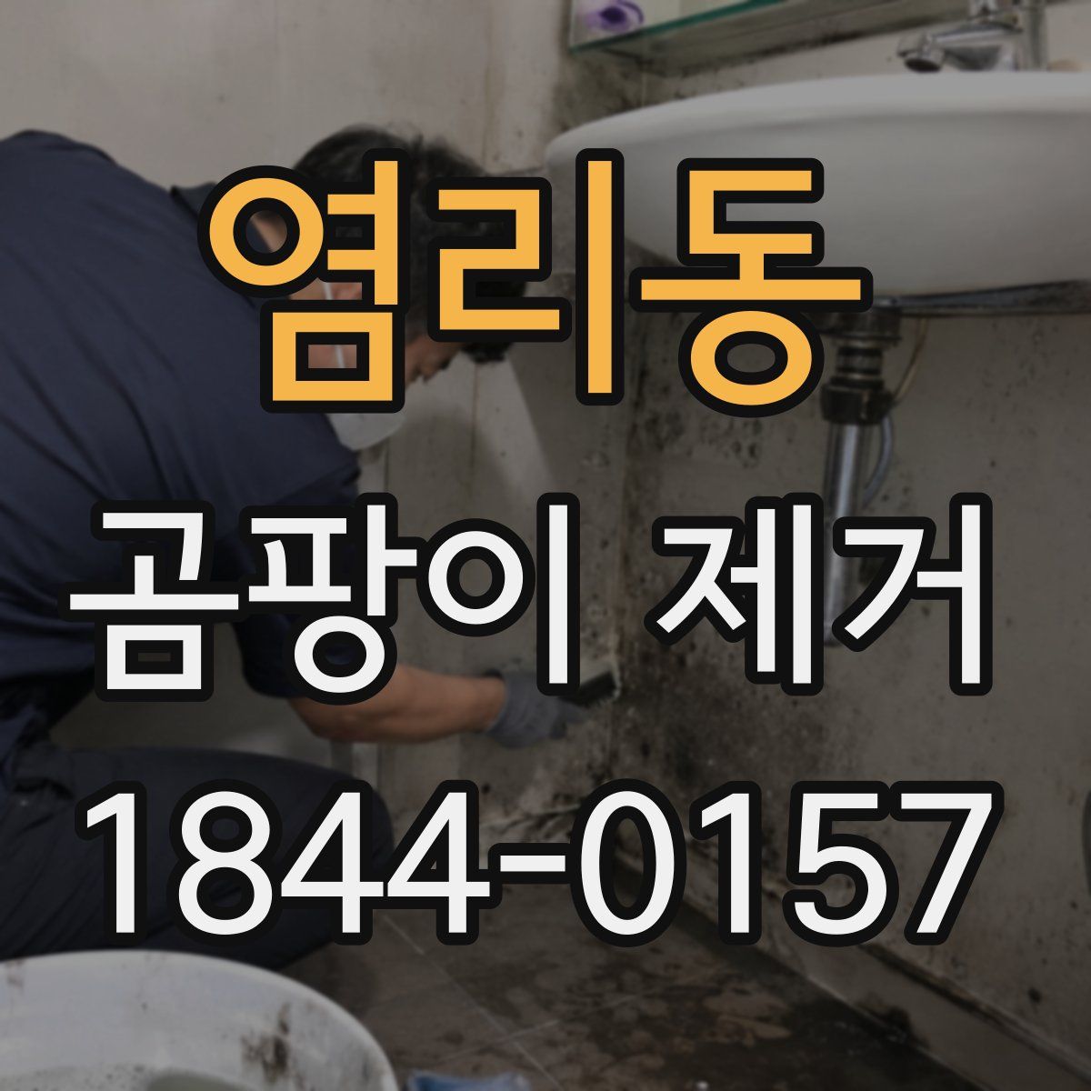 염리동 곰팡이 제거