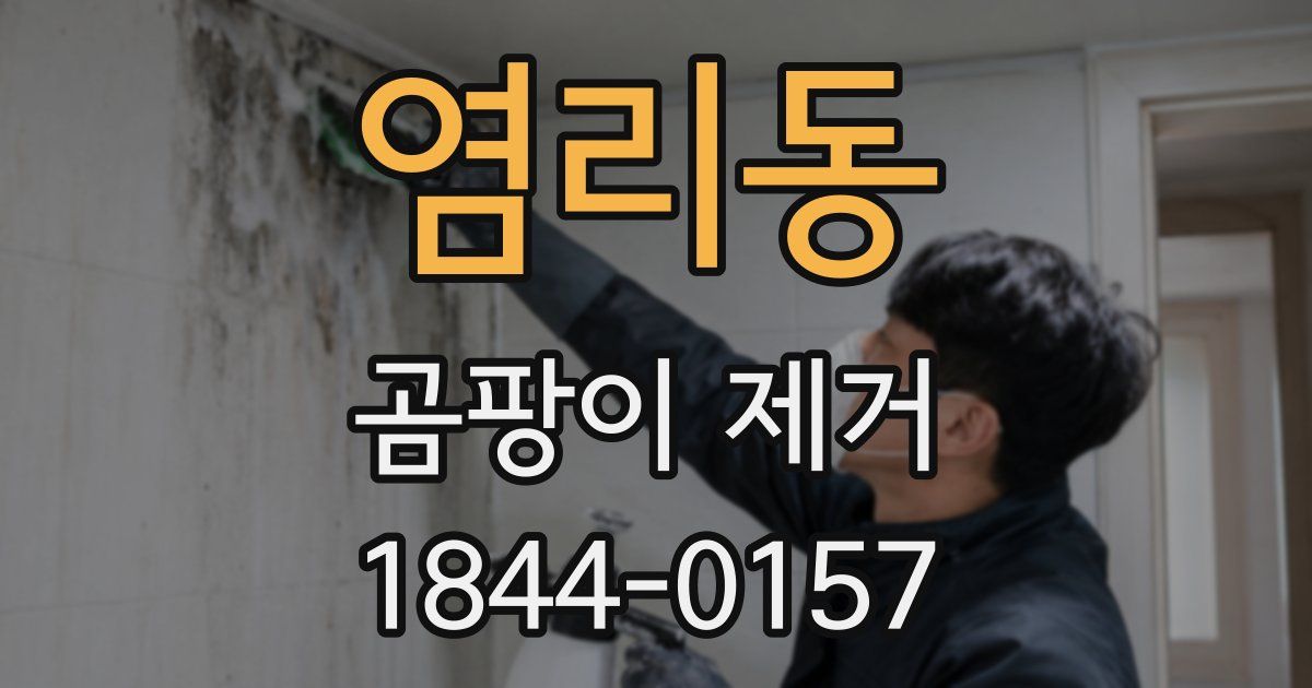 염리동 곰팡이 제거