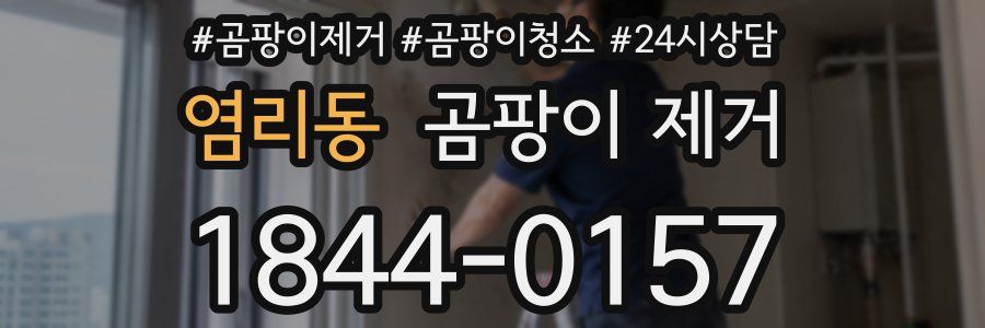 염리동 곰팡이 제거