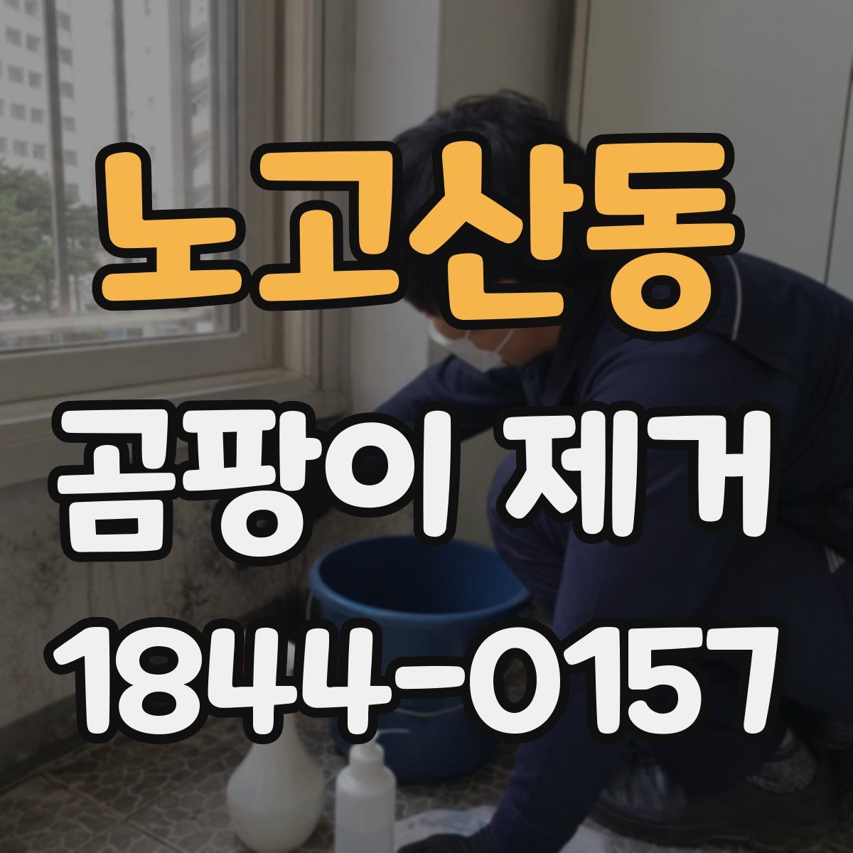 노고산동 곰팡이 제거