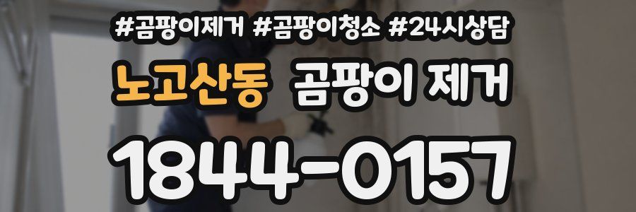 노고산동 곰팡이 제거
