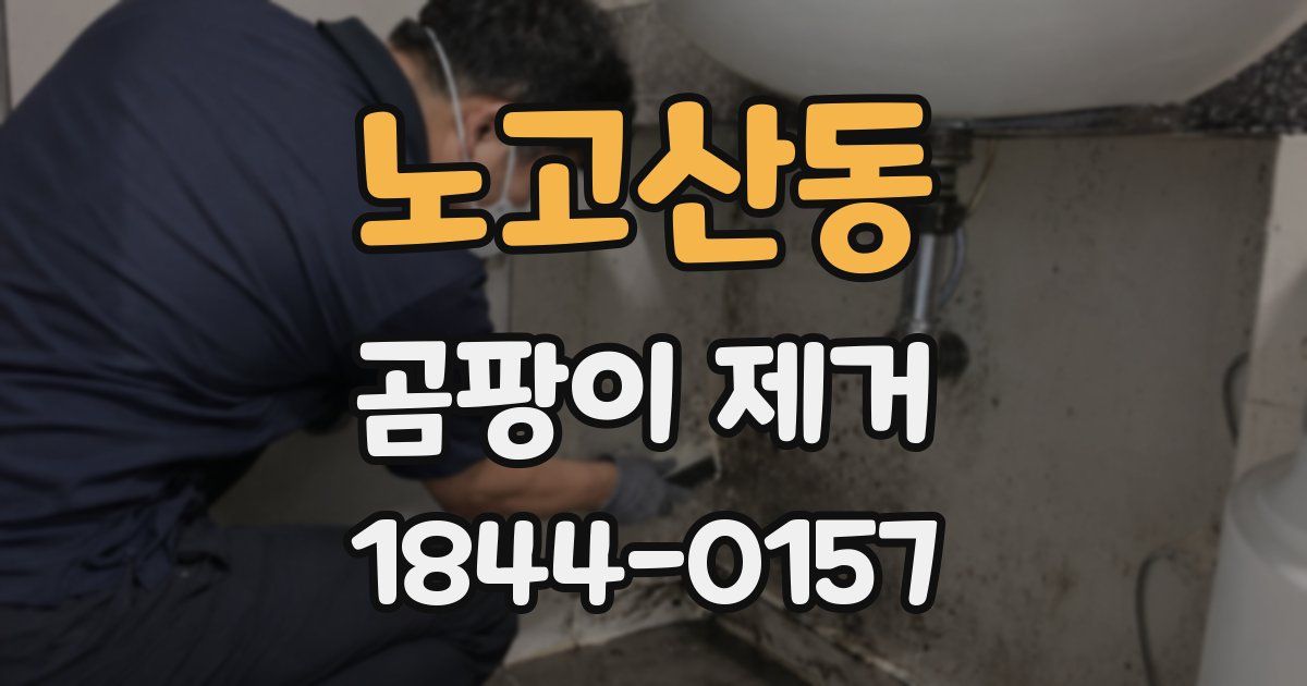 노고산동 곰팡이 제거
