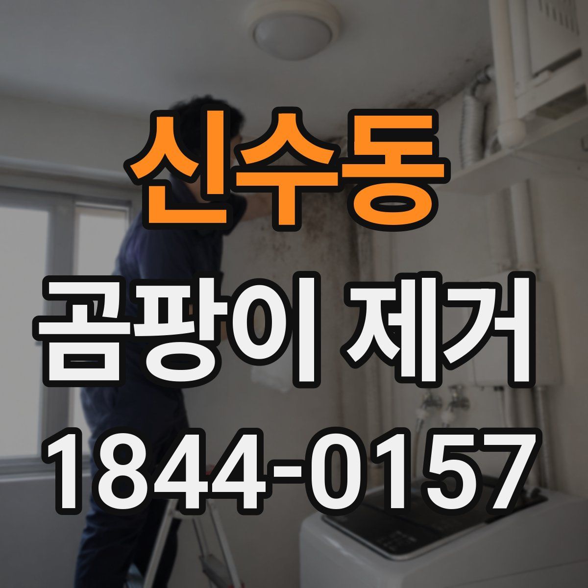 신수동 곰팡이 제거