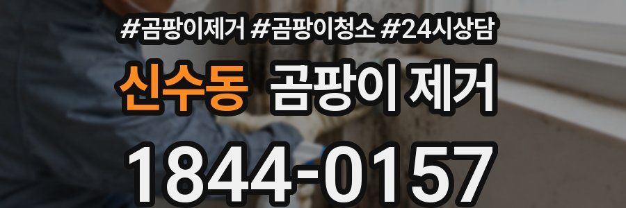 신수동 곰팡이 제거
