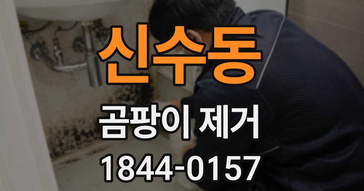 신수동 곰팡이 제거