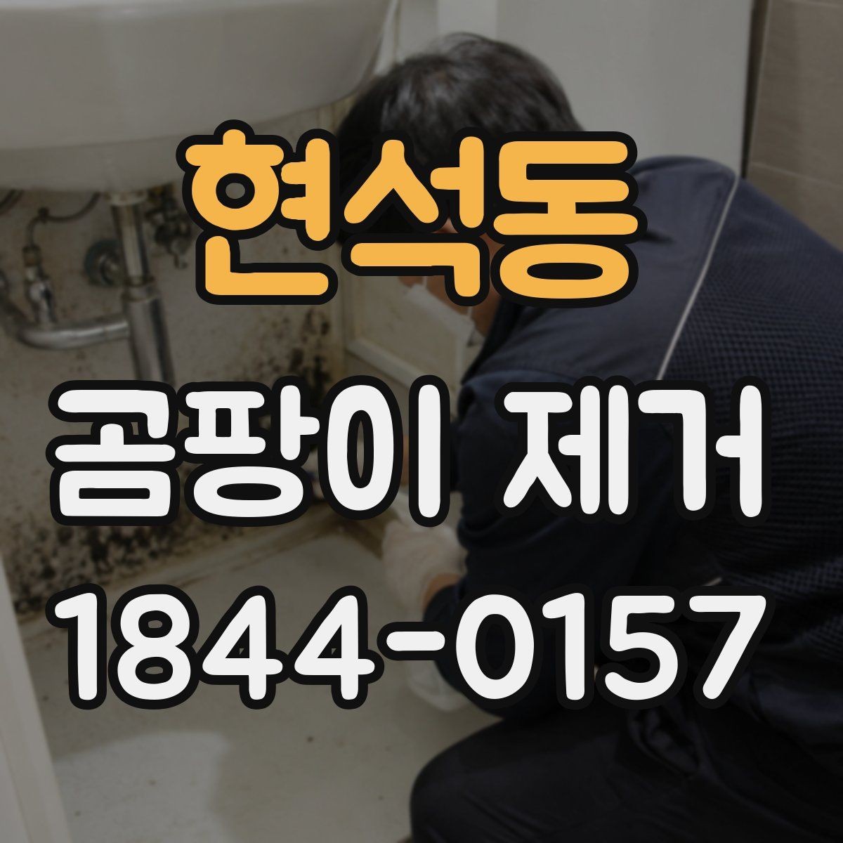 현석동 곰팡이 제거 곰팡이 제거 후 재발 막는 건조 팁