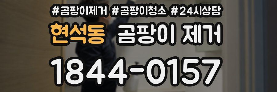 현석동 곰팡이 제거
