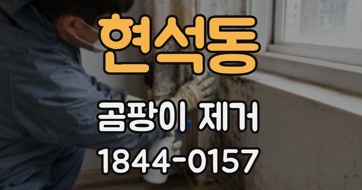 현석동 곰팡이 제거