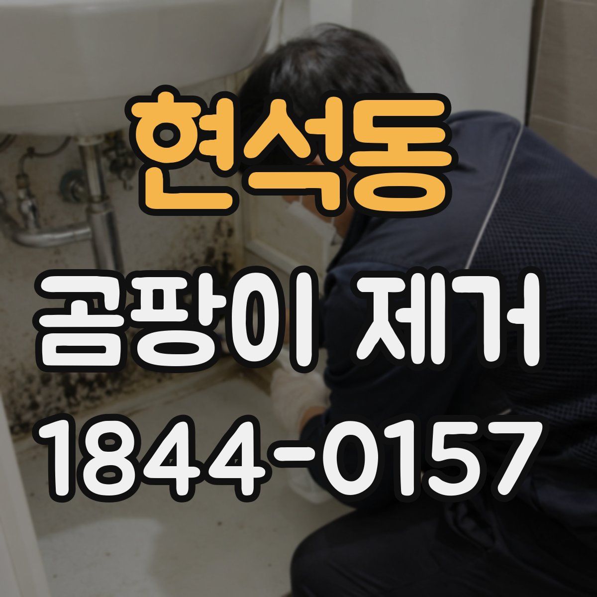 현석동 곰팡이 제거