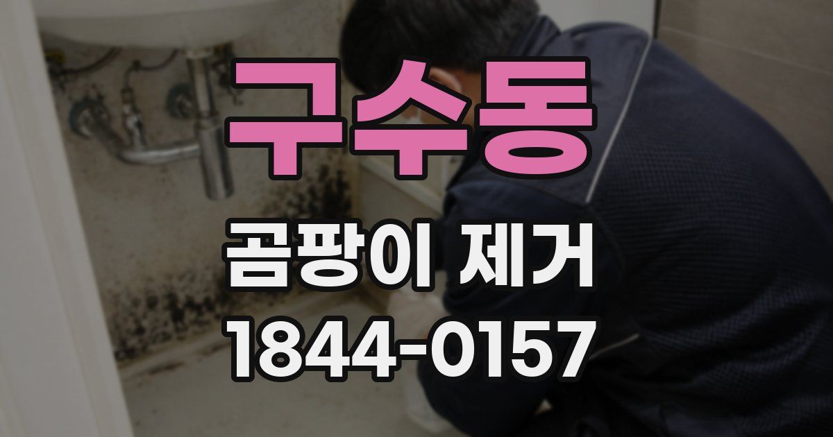 구수동 곰팡이 제거