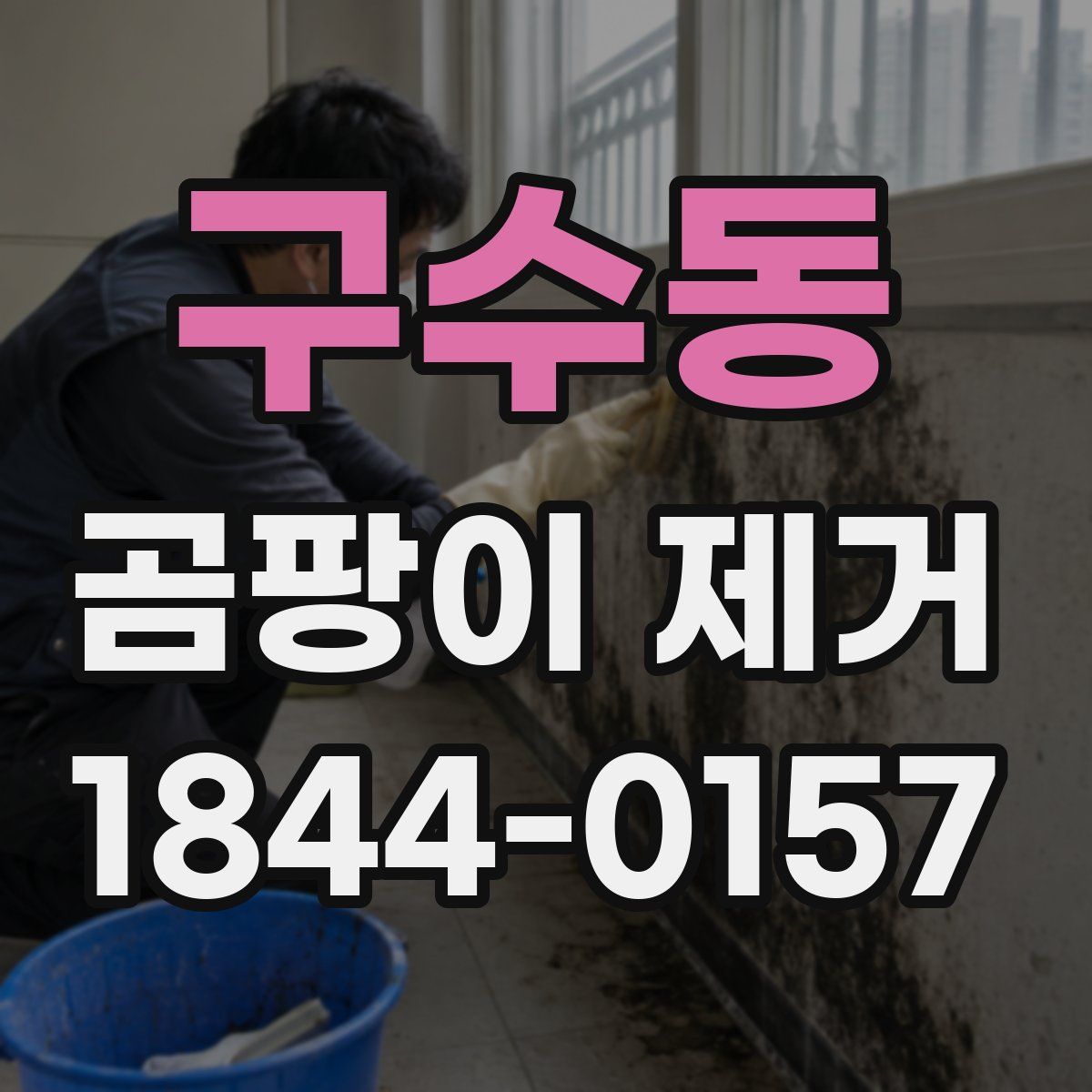 구수동 곰팡이 제거