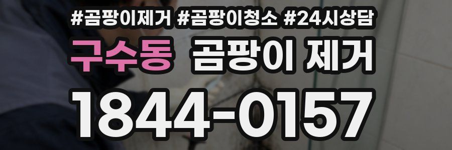 구수동 곰팡이 제거