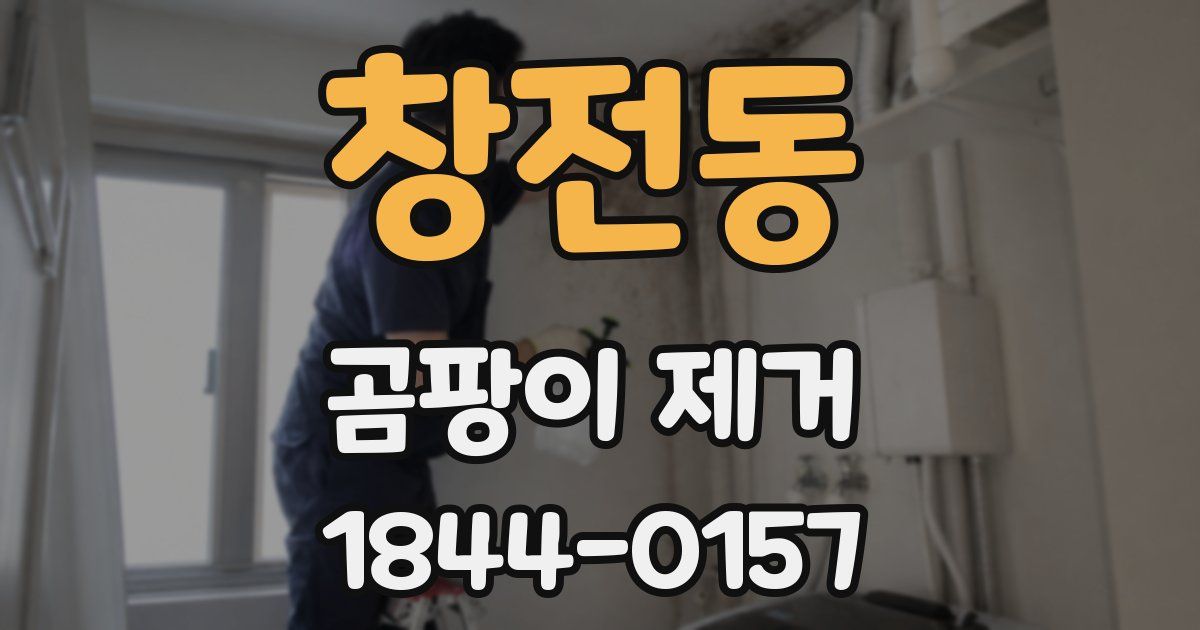 창전동 곰팡이 제거