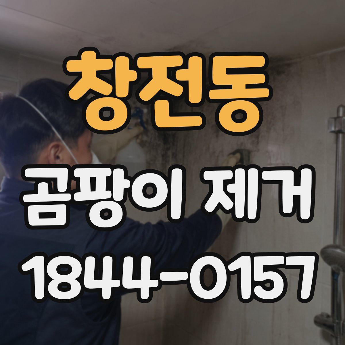 창전동 곰팡이 제거