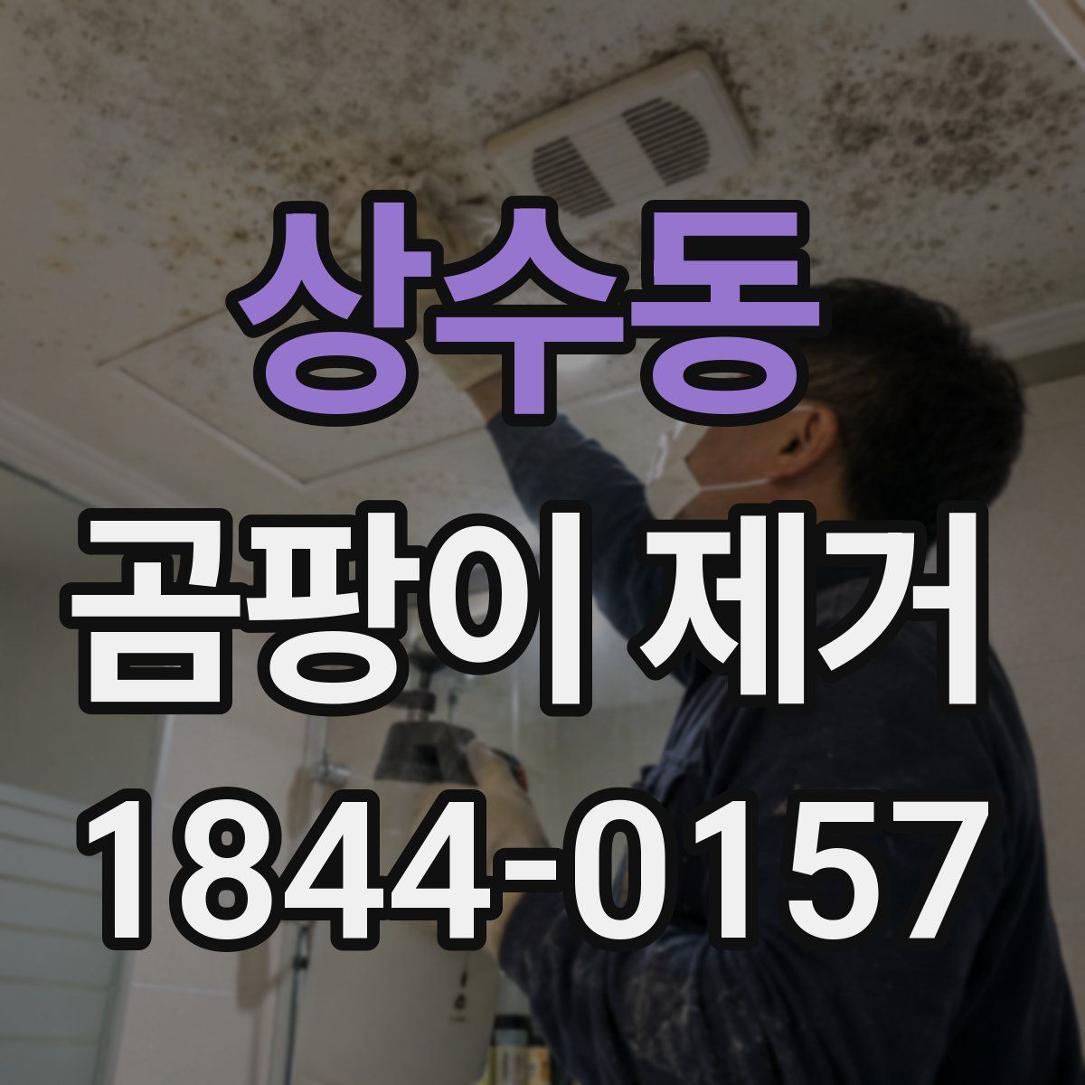 상수동 곰팡이 제거